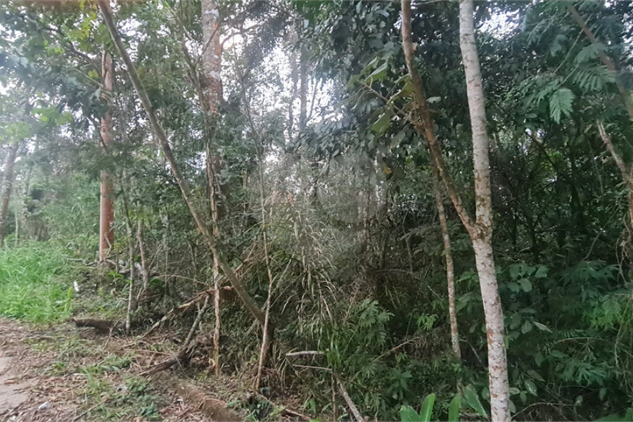 Condomínio à venda em Serra da Cantareira, Mairiporã, SP