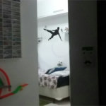 Sobrado à venda com 3 quartos, sendo 1 suíte, em Vila Guilherme, São Paulo, SP