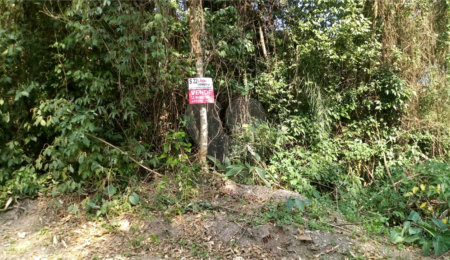 Terreno à venda em Serra da Cantareira, Mairiporã, SP