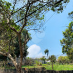 Terreno à venda em Interlagos, São Paulo, SP