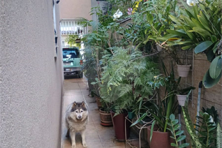 Casa à venda com 4 suítes em Jardim Bom Clima, Guarulhos, SP