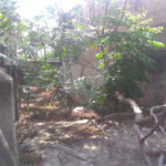 Terreno à venda em Casa Verde, São Paulo, SP