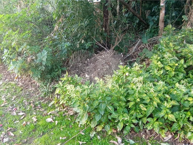Terreno à venda no condomínio Sausalito, Mairiporã - SP