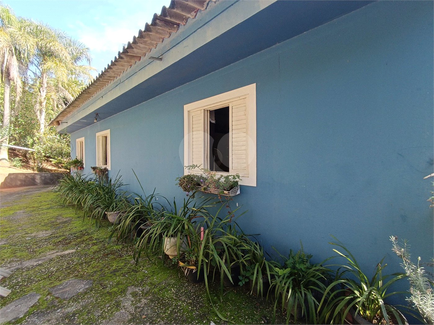 Chácara à venda com 7 quartos, sendo 1 suíte, no Centro (mailasqui), São Roque, SP