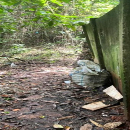 Terreno à venda em Jardim Ampliação, São Paulo, SP