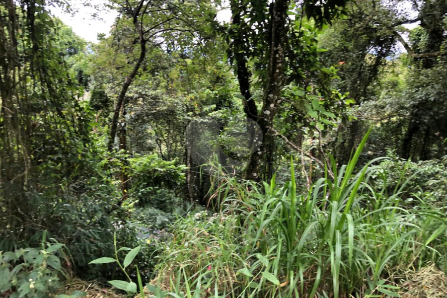 Terreno à venda no condomínio Gleba E2, Mairiporã - SP