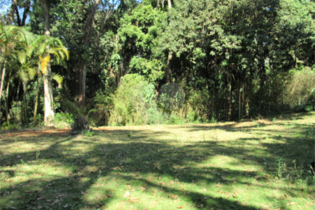 Terreno à venda no condomínio Chácara Flora, São Paulo - SP