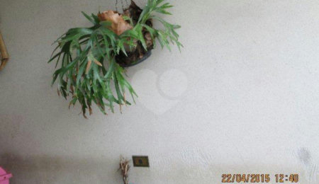 Sobrado à venda com 4 quartos, sendo 2 suítes,  em Parque Edu Chaves, São Paulo, SP