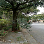 Casa à venda com 3 quartos em Instituto de Previdência, São Paulo, SP