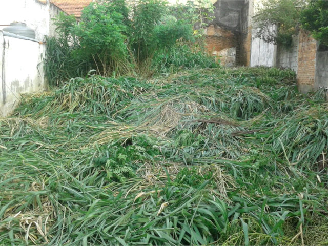 Terreno à venda em Imirim, São Paulo, SP