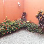 Sobrado à venda com 3 quartos, sendo 2 suítes,  em Santana, São Paulo, SP