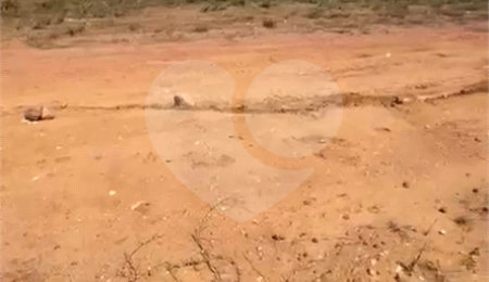 Terreno à venda em Baia Formosa, Armação dos Búzios, RJ