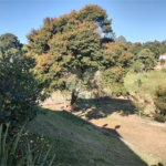 Chácara à venda com 4 quartos, sendo 1 suíte, em Chácaras Fernão Dias, Atibaia, SP