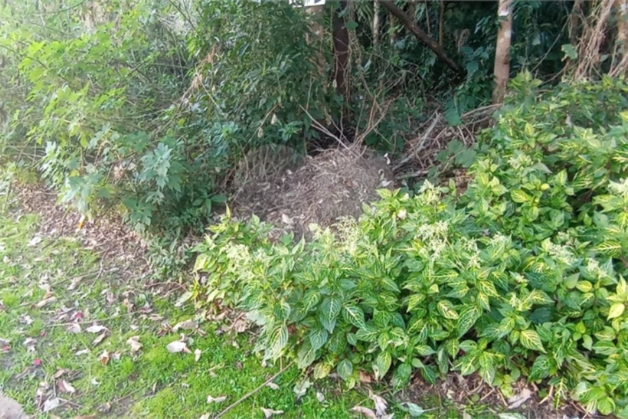 Terreno à venda no condomínio Sausalito, Mairiporã - SP