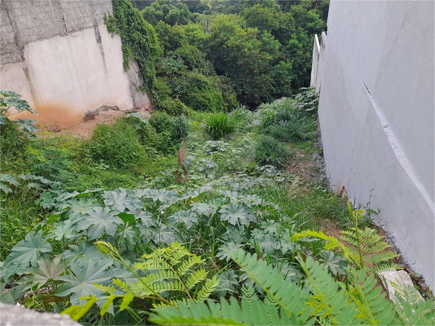 Terreno à venda em Cidade Satélite, Atibaia, SP