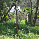 Chácara à venda com 2 quartos em Vila Caputera, Mogi das Cruzes, SP