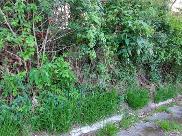 Terreno à venda no condomínio Sausalito, Mairiporã - SP