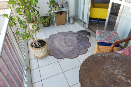 Apartamento à venda com 2 quartos, sendo 1 suíte, em Grajaú, Rio de Janeiro, RJ