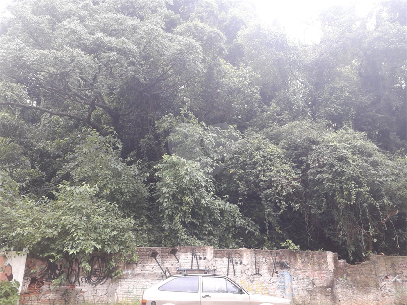 Terreno à venda em Santana, São Paulo, SP