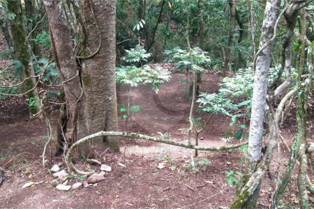 Sítio à venda no Centro, Monte Sião, MG