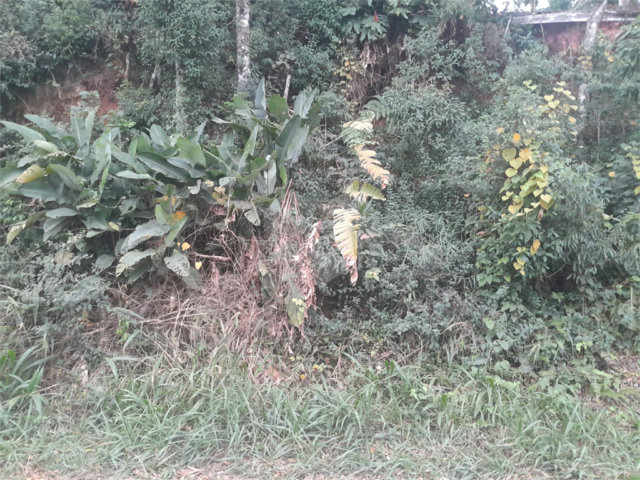 Terreno à venda em Serra da Cantareira, Mairiporã, SP