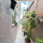 Sobrado à venda com 3 quartos em Vila Prudente, São Paulo, SP