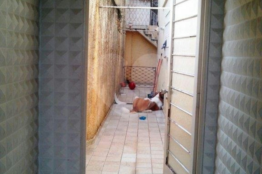 Sobrado à venda com 3 quartos, sendo 1 suíte, em Vila Paiva, São Paulo, SP