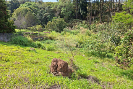 Terreno à venda em Chácara Fernão Dias, Bragança Paulista, SP