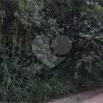 Terreno à venda em Luiz Fagundes, Mairiporã, SP