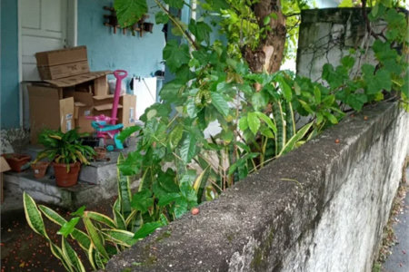 Casa à venda com 3 quartos, sendo 2 suítes, em Tucuruvi, São Paulo, SP