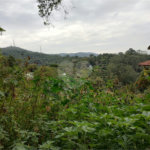 Terreno à venda em Barro Branco (zona Norte), São Paulo, SP