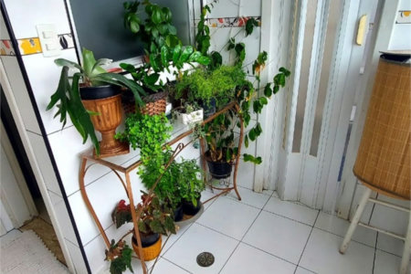 Apartamento Residencial à venda, Campo Grande, Santos - AP0818.