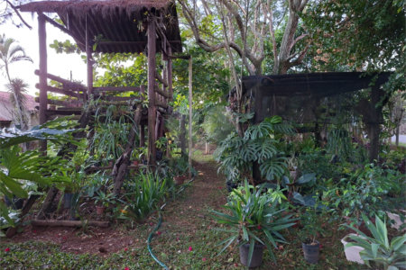 Chácara à venda com 3 quartos, sendo 1 suíte,  em Ribeirãozinho, Alambari, SP