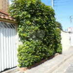 Terreno à venda em Vila Mazzei, São Paulo, SP