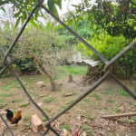 CHÁCARA À VENDA – ESTORIL (ONDINHAS)