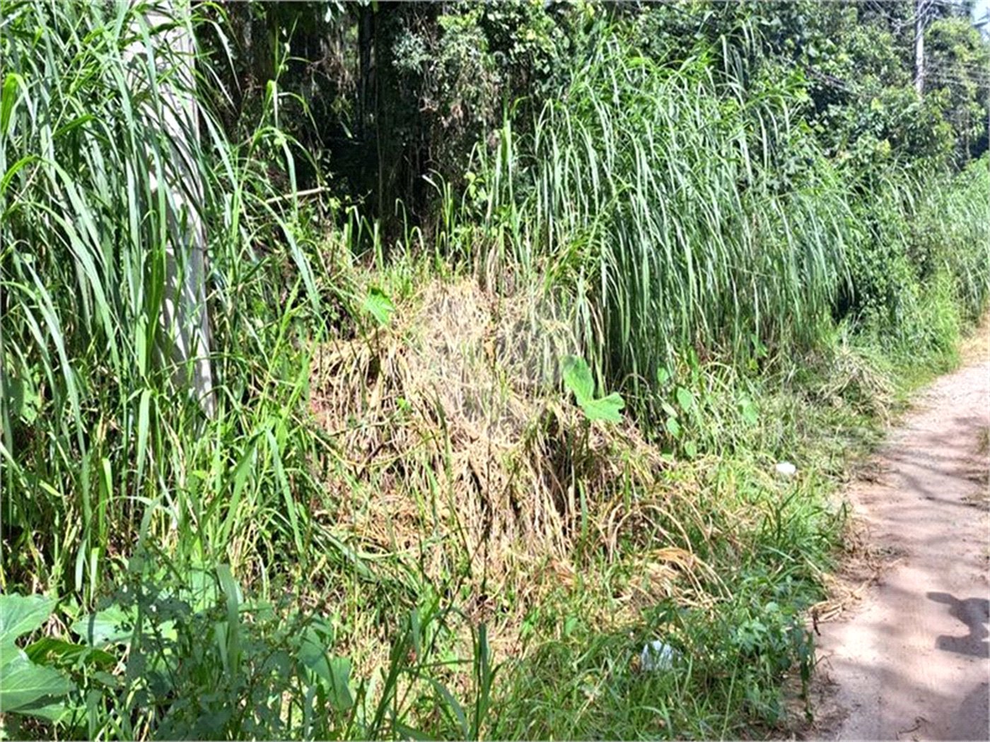 Terreno à venda no condomínio Parque Suiça, Caieiras - SP