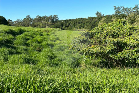 Terreno à venda no condomínio Terras de São José II, Itu - SP