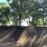 Terreno à venda em Vila Tramontano, São Paulo, SP