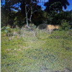Terreno à venda em Jardim Colonial, Carapicuíba, SP