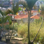 Terreno à venda em Jardim Bonfiglioli, São Paulo, SP