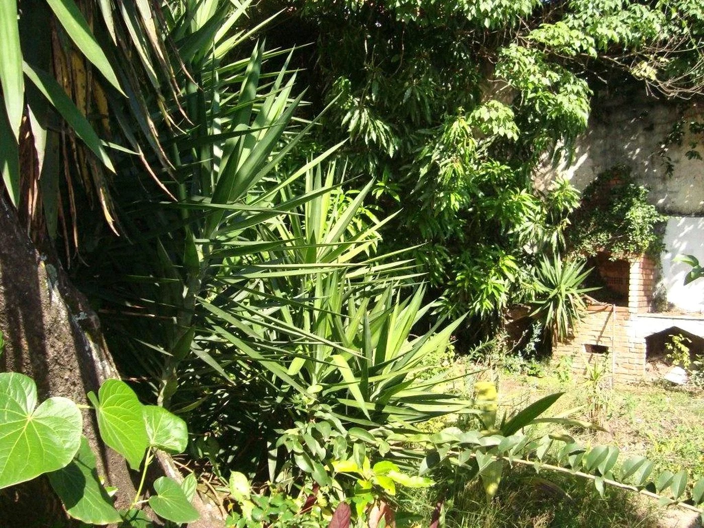 Casa à venda com 3 suítes em Jardim Leonor, São Paulo, SP