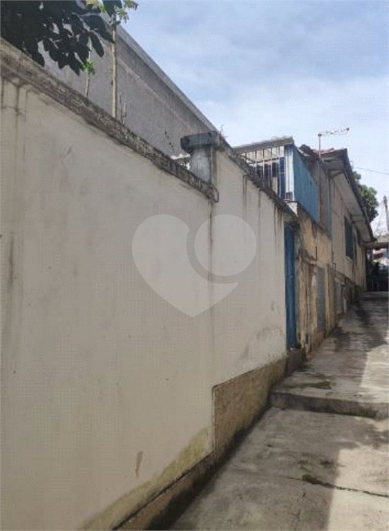 Terreno à venda com 5 quartos em Vila Gustavo, São Paulo, SP
