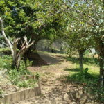 Chácara à venda com 3 suítes em Chácaras Copaco, Arujá, SP