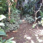 Sobrado à venda com 3 quartos em Tremembé, São Paulo, SP