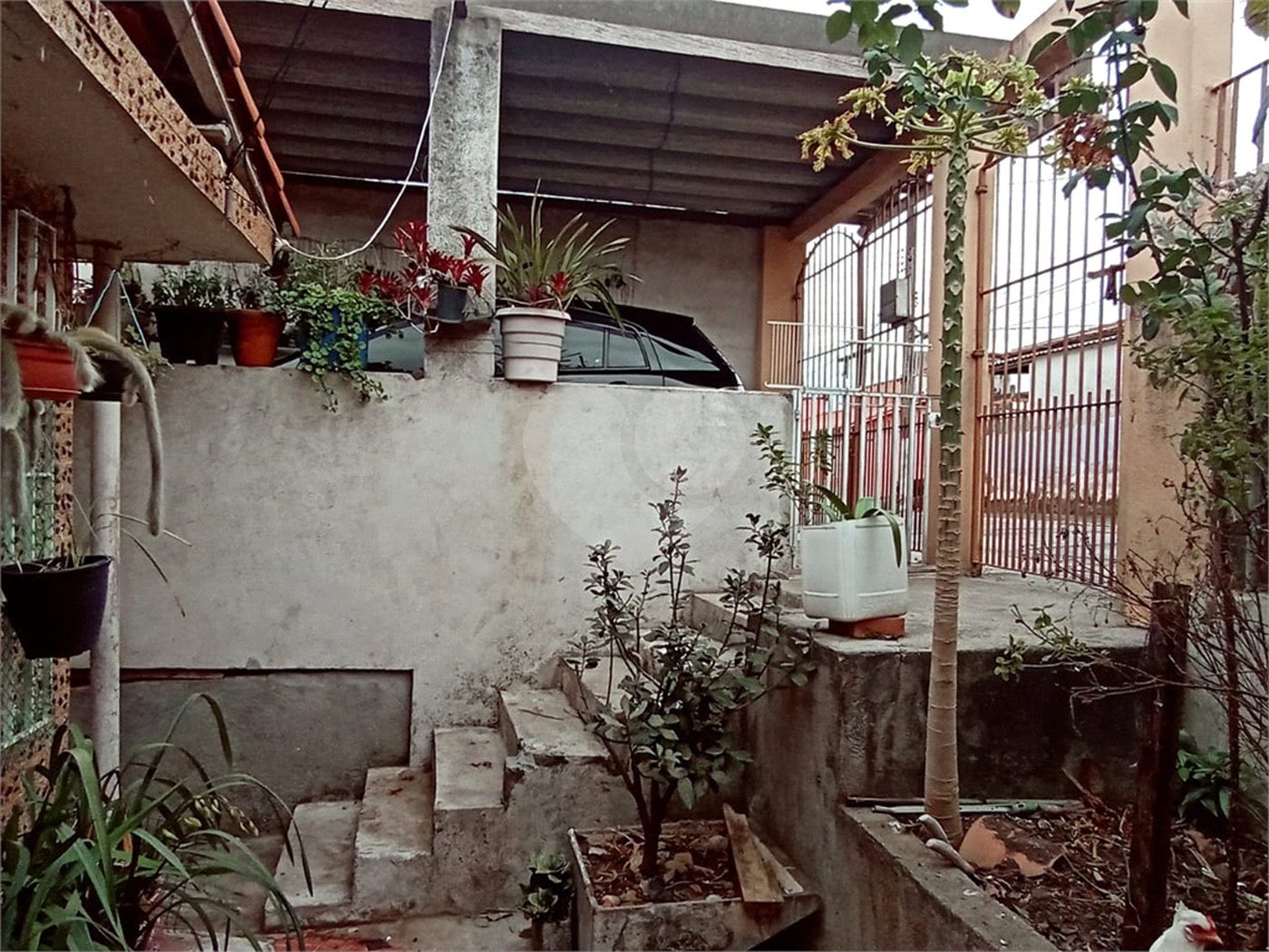 Casa Térrea à venda com 2 quartos em Vila Graziela, São Paulo, SP