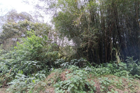 Terreno à venda em Vila Junqueira, São Roque, SP