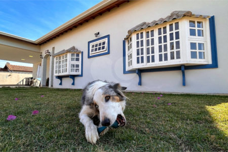 Chácara a venda na Quinta dos Buritis.