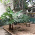 Casa à venda com 4 quartos em Maracanã, Rio de Janeiro, RJ