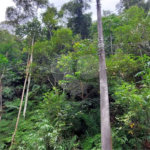 Terreno à venda no condomínio Sausalito, Mairiporã - SP