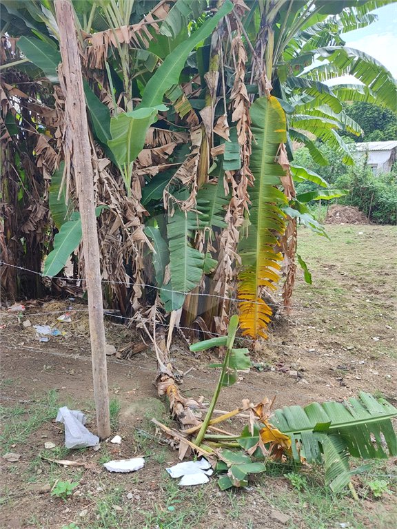 Terreno à venda em Santíssimo, Rio de Janeiro, RJ